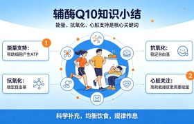 辅酶Q10哪个牌子好用还便宜？2026 辅酶Q10养护款盘点分享，精力不足人群补充放心