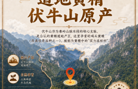 别再乱补黄精了，适用人群和禁忌都在这里