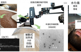 汗液是如何形成的?新研究颠覆认知