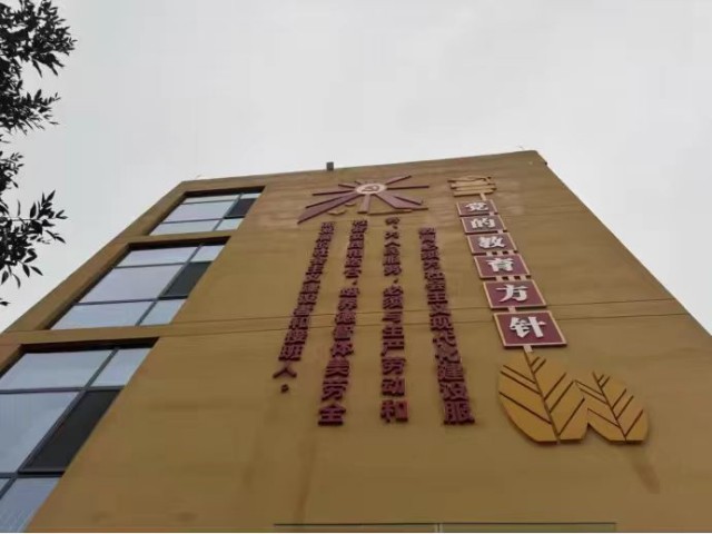 教学墙.jpg