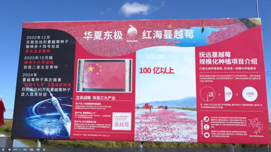 2025抚远蔓越莓节在“中国唯一种植基地——红海小镇”盛大开幕FAY SECRET品牌聚焦“口服私密护理”新趋势